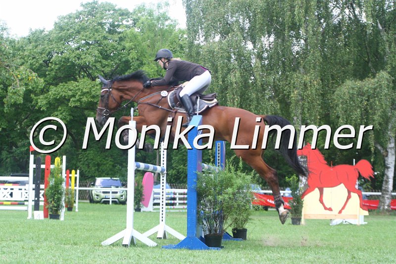 308M9988_Lex Barker_Spring_L.JPG